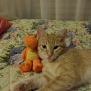 ���� �����, ������, 51 ��� - ��������� 7 ������� 2012 � ������ ���, ��� ������������