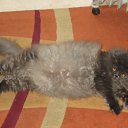 ���� ����, ������, 33 ���� - ��������� 15 ������ 2012 � ������ ���� ������� ������ =)�