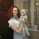  , , 43  -  19  2012     2012