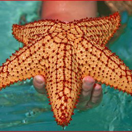 �����, ������-��-����, 52 ����