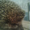 ���� Evgeniy, ����-�����������, 42 ���� - ��������� 27 ���� 2012