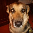 ���� ����, ������, 46 ��� - ��������� 5 ���� 2011 � ������ �������