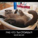 ���� ������, ������, 49 ��� - ��������� 18 ���� 2011 � ������ ��� �� ������� �����