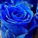 ���� �����, ����� - ��������� 6 ���� 2013