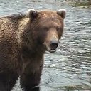 ���� ��������, ���������, 70 ��� - ��������� 15 ����� 2013 � ������ �� ������ � ��������� �����