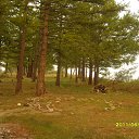 ���� ������, ������, 54 ���� - ��������� 18 ���� 2011 � ������ �������� �������