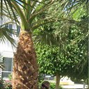 ���� �������, ���� - ��������� 31 ������� 2010 � ������ �������,����������� 2010�