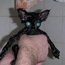 ���� Ninon, ���� - ��������� 20 ������� 2009 � ������ ����������� ����Ȼ