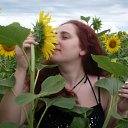   , , 43  -  3  2010    2010