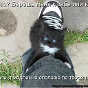 ���� ��������, �������� - ��������� 11 ����� 2012 � ������ �������� ��������