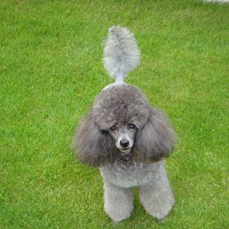 ���� ��������, ������, 69 ��� - ��������� 5 ��� 2012