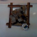 ��� ������ �� ������� ������ ������