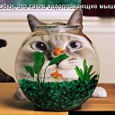 ���� ����, ������ - ��������� 19 ������� 2009 � ������ ������� ���������� �����