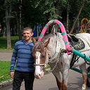 ���� �������, �����-���������, 41 ��� - ��������� 19 ���� 2011