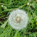 ���� ������, ���������, 62 ���� - ��������� 12 ���� 2012 � ������ �12 �����