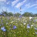 ���� ����, ������, 29 ��� - ��������� 30 ������� 2011 � ������ �������