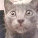 ���� ������, ���, 24 ���� - ��������� 18 ��� 2011 � ������ �PetLove�