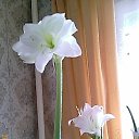 ���� ����! ���, ������������, 52 ���� - ��������� 20 ���� 2010 � ������ �������