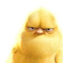  ++, , 55  -  25  2013    