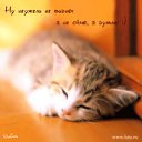���� �������, ������ ��������, 35 ��� - ��������� 15 ������� 2011 � ������ ���� ����������