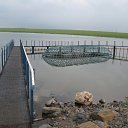 ���� ������, ��������, 63 ���� - ��������� 16 ������� 2009 � ������ ���� ����� ������