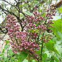 ���� ���� ����, ����������, 50 ��� - ��������� 19 ����� 2010 � ������ ������-2009�