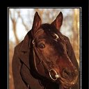 ���� ����, ����, 50 ��� - ��������� 17 ������ 2010