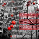  Kika, , 35  -  30  2010    . . .