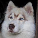 ���� "@����", �����-���������, 25 ��� - ��������� 6 ������� 2010 � ������ ��@��� �@��� �@��Ȼ