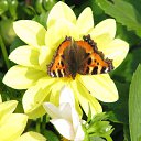 ���� �������, ������-��-����, 59 ��� - ��������� 25 ������� 2012