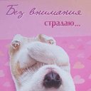 ���� �����, ������, 49 ��� - ��������� 19 ������� 2012