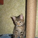 ���� ��������, ����� - ��������� 24 ��� 2010 � ������ ���� ��������