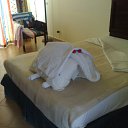 ���� Al, �����-���������, 56 ��� - ��������� 22 �������� 2011 � ������ �������