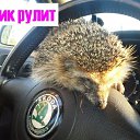���� ����, �����-���������, 64 ���� - ��������� 21 ������ 2012 � ������ �������