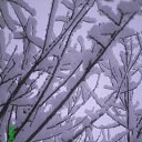 ���� �������, ������ - ��������� 15 ������� 2009 � ������ ���� ����