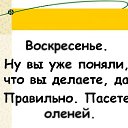  ,  -  17  2009          ...