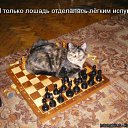 ���� �����, �����-���������, 26 ��� - ��������� 2 ������� 2011 � ������ ������