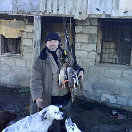 Z., ����, 52 ����