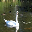 ���� �����, �����, 65 ��� - ��������� 14 ������ 2010 � ������ ��������� ���������� �� �����������.�
