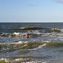 ���� ``` Qush, ������, 41 ��� - ��������� 22 ���� 2013 � ������ ���� ����������