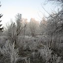 ���� ������, �����������, 55 ��� - ��������� 23 ������� 2011 � ������ �������