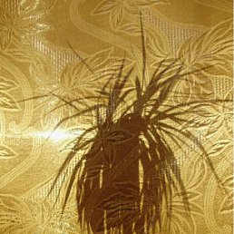 ���� ������, ��� - ��������� 18 ������ 2011