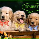 ���� Serwolf (I'll Be Back), ������ - ��������� 30 ����� 2012 � ������ ���� ����������