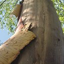 ���� ������, �������� - ��������� 16 ������� 2012 � ������ �������