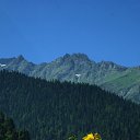  , , 47  -  7  2010   - 2010