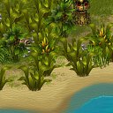 ���� ����������, ������, 34 ���� - ��������� 26 ������ 2013 � ������ �Tropikania�