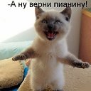 ���� ����, ���������, 43 ���� - ��������� 28 ������ 2013 � ������ ���� ����������