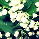 ���� Anastasiya, ��������������, 31 ��� - ��������� 12 ��� 2010 � ������ �[��� ����� �������]�