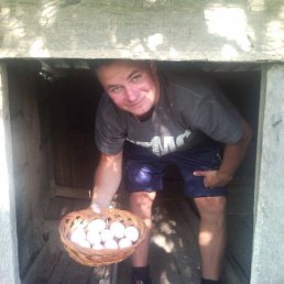 ������, �����-���������, 40 ���