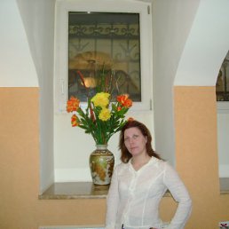 �����, �����-���������, 51 ���